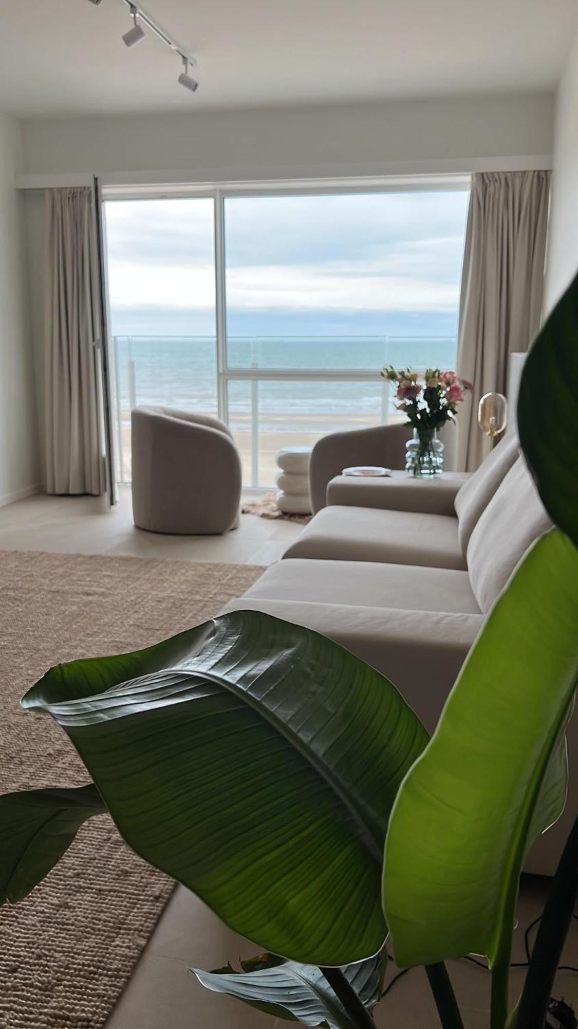 - Met Prachtig Zeezicht! Appartement Oostende